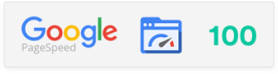 Google PageSpeed badge